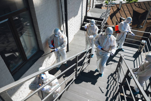 Biohazard Mold Removal in Ball Pond, CT