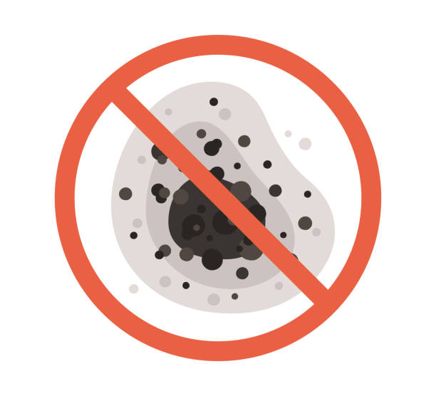 Best Emergency Mold Remediation  in Ball Pond, CT