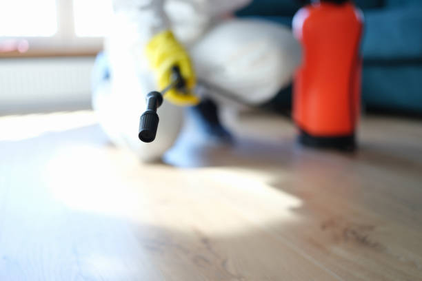 Professional Mold Removal in Ball Pond, CT