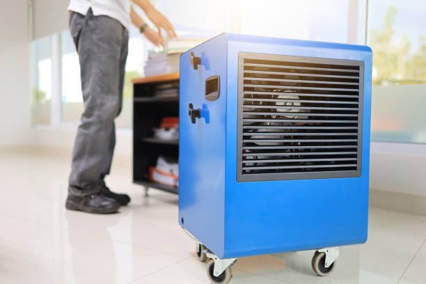 Best Dehumidification Services  in Ball Pond, CT